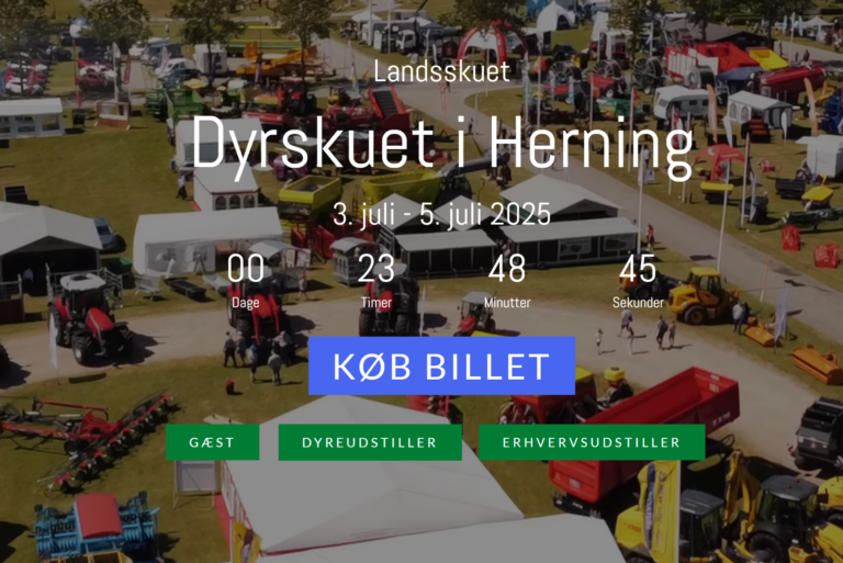Ausstellung Landskuet in Herning, Anker Bjerre, FTG Källefall, Rückewagen, Forstkräne
